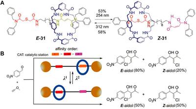 Recent Progress in Light-Driven Molecular Shuttles